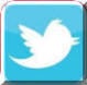 Twitter Button Link